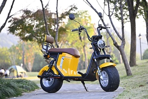 Scooter Eléctrico Nuevo Modelo <span class=keywords><strong>Hulk</strong></span> en Oferta, EEC/COC Citycoco 1500/2000W, Bicicleta Eléctrica - Product Image 3
