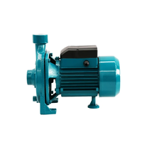 Pompe centrifuge électrique LLASPA CPM158, bobinage cuivre/aluminium disponible, pompe d'alimentation en eau domestique OEM