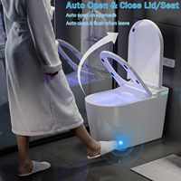 Ensemble WC intelligent monobloc avec télécommande pour salle de bain commerciale et hôtelière - Vente en gros