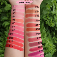 Palette de maquillage 6 en 1 : blush, anticernes, poudre, contour, illuminateur, poudre pressée, haute pigmentation, DIY