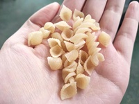 La fabrication automatique de double extrudeuse de capacité élevée usine les nouilles industrielles de pâtes de macaroni faisant la machine