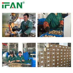 IFAN All Standard Brass Pipe <strong>Fitting</strong> <strong>3/8</strong> Plumbing Union Nut Copper Brass <strong>Fittings</strong> for Pipe Connect