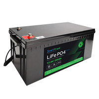Batteries solaires rechargeables LiFePO4 12,8 V 200 Ah, protection IP65, type divisé avec affichage Bluetooth/LCD