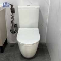Remorque WC mobile simple avec urinoir, lavabo et évier intégrés pour événements extérieurs et chantiers