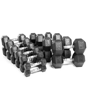 Gym Equipment Hex Dumbbell Set in LB Weight Lifting Hex Rubber Coated Dumbbells