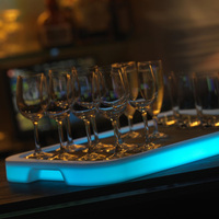 Plateau lumineux LED pour serveur / Lumières de plateau pour bar à cocktails (cc529)