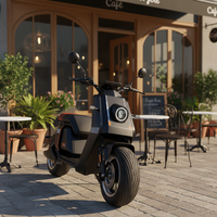 Nouveauté 2025, scooter électrique 2000W/3000W, batterie au lithium 60V 20Ah-55Ah, cyclomoteur électrique pour adultes pour les trajets en ville
