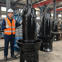 Bomba Sumergible de Flujo Axial Especializada de 160kW, Bomba de Agua de Hélice de Alta Capacidad para Sistemas de Refrigeración de Plantas de Energía, 380V