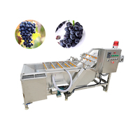 Commerciële groentewasmachine, aardappelbladwasmachine