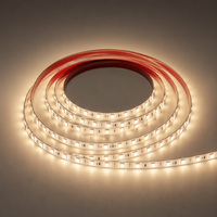 Bande lumineuse LED en cuivre 220V avec indice de protection IP20, options de température de couleur multiples pour usage résidentiel