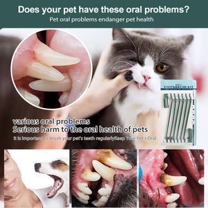 Fabrika toptan köpek diş fırçası yıkılmaz 8 In 1 köpek diş bakımı evde beslenen hayvan kedi diş fırçası seti dayanıklı temiz dişler - Product Image 3
