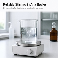 Agitateur magnétique en PTFE B-1 de forme octogonale - Résistant aux températures de -200 à 110°C - ODM OEM pour usage en laboratoire - Lavage avec liquide de nettoyage