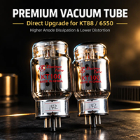 Tube à vide Shuguang KT100, tétrode de puissance compatible avec KT88 6550, tube électronique de puissance neuf pour amplificateur audio HIFI