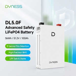 Dyness <b>Wall</b> Mounted 5kWh Home Energy Storage 51.2V 100Ah Battery DL5.0F Solar Match for Deye DL5.0F DYNESS Lithium Battery Lithi - Product Image 2