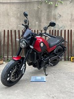 Benelli Leoncino 500 Retro Scrambler 500cc Moteur EFI Suspension Réglable Affichage Numérique Vitesse Maximale >180km/h. pour