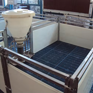 Hot Bán Tự Động Heo Con Thùng Trang Trại Hệ Thống Vườn Ươm Lợn Lồng Lợn Weaner Gian Hàng Lợn Vườn Ươm Bút - Product Image 4