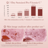 OEM OBM ODM BIOAQUA Soins de la peau Antioxydant Hydratant Camélia Ensemble de soins de la peau coréen