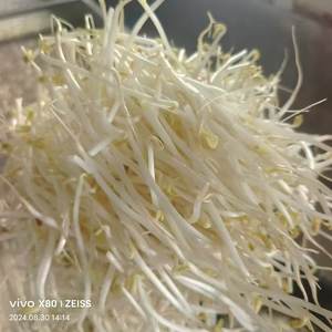 Bohnen schälmaschine Bohnen schälmaschine Vibator bean Huller Mung bohnen schälmaschine Sprossen bohnen schalens chäl maschine - Product Image 2