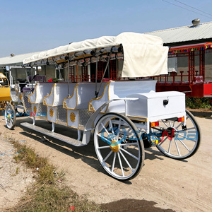 White Electric Sightseeing Horseless Carriage Luxury Fashion for Parks Attractions Xuchang China China Xuchang Zhenda Machinery - Product Image 5