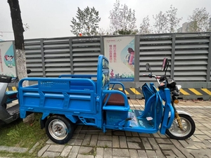 Best Selling 1000W Electric Cargo Tricycle with <b>2</b> <b>Passengers</b> 48V Motorized Three-Wheel Car Available Open Closed Body Types Sale - Product Image 6