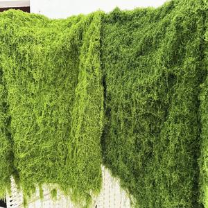 Tapis de <span class=keywords><strong>mousse</strong></span> en plastique de gazon de <span class=keywords><strong>mousse</strong></span> verte artificielle plantes réalistes mur de <span class=keywords><strong>mousse</strong></span> sol de paysage de jardin pour la décoration de restaurant - Product Image 4