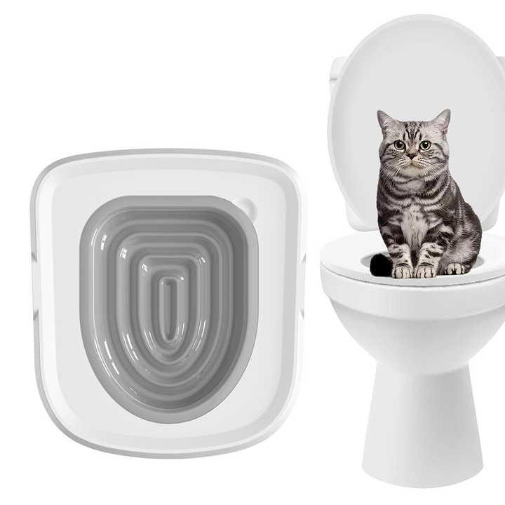 how to teach my cat to use the toilet
