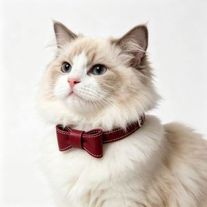 Conjunto de Collar y Correa de Cuero para Perro con Lazo Decorativo Personalizado, Listo para Venta Directa al Comprador en Canales de Importación - Product Image 1