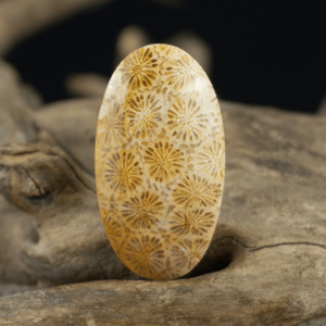 Venta al por mayor de piedras de coral natural pulidas, piedras de jade para la palma de la mano, piedras curativas, piedras de cuarzo para la decoración del hogar y la oficina, regalo para el Día de Acción de Gracias - Product Image 2