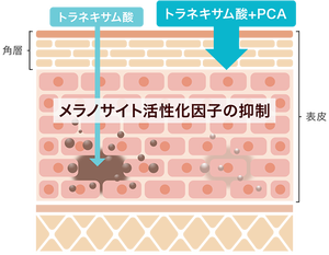 โลชั่นโทนเนอร์ทาผิวขาวยา DHC จากญี่ปุ่น180มล. ให้ความชุ่มชื้นผิวใสต่อต้านสิวผิวบอบบางดูแลความงาม - Product Image 5