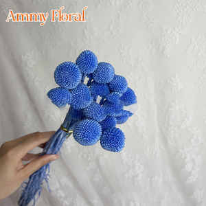 AM-PFKC06 Ammy Fleurs Éternelles Billy Buttons en Bouquet avec 20 Tiges pour Décorations de Mariage, Maison, Bureau et Fêtes - Product Image 4