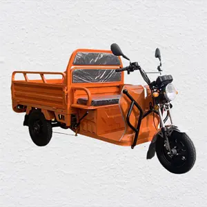 Tricycle agricole tricycle électrique pour adultes, tricycle électrique à 3 roues, voiture de transport de passagers pour adultes, moto de chine