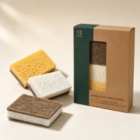 Éponge de cuisine double face en fibre de coco et cellulose de bois, biodégradable, avec option de boîte de vente au détail personnalisée