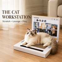 Griffoir pour chat en forme d'ordinateur portable, en carton, avec repose-patin et jouet intégré pour chat