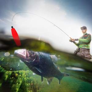 ZHUO RUN EVA Mousse Bobbers pour Catfish Crappie Pêche 1.5 ''2'' 2.5 ''3'' Long Bouchons De Cigare Bouée pour Santee Rigs - Product Image 6