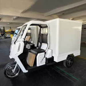 वितरण एक्सप्रेस बिजली Tricycle 72v 3000w मोटर के साथ बंद कार्गो तिपहिया बंद कार्गो एक्सप्रेस बिजली टुक टुक