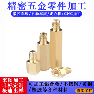 Clous traversants en laiton, filetage métrique M3 aux deux extrémités, qualité A, OEM personnalisable - Product Image 5