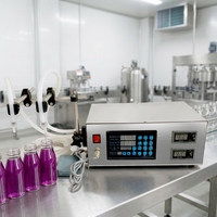 Remplisseuse automatique CNC à double tête haute efficacité pour le remplissage de bouteilles de boissons de petite à moyenne taille, de 5 à 3500 ml