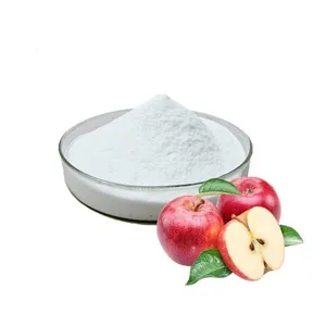 Wholesale Supply Pure Apple Extract Apple Cider Vinegar Powder 5% Total Acids Acetic Acid Powder