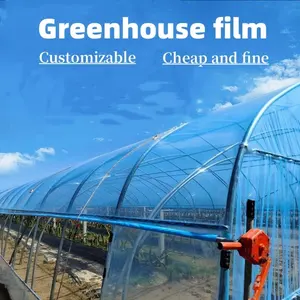 УФ-устойчивая сельскохозяйственная прозрачная пластиковая тепличная пленка с конкурентоспособной ценой
