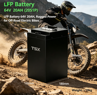 Batterie lithium rechargeable semi-solide TSX Power Custom 62V LiFePO4 20Ah, 1200 cycles, -20~50°C, électrique