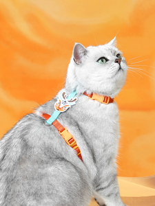 UFBemo 2024 produsen tali kekang kucing grosir tali kekang anjing sesuai pesanan Set tali kekang anjing peliharaan - Product Image 6