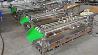 Hete verkoop fruit dadels ui sorteermachine en maat sorteermachine appel walnoot zwarte peper fruit & groente sorteermachine