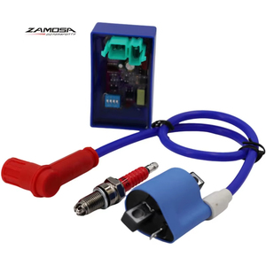 Bobine d'allumage de course <span class=keywords><strong>Cdi</strong></span> <span class=keywords><strong>Racing</strong></span> Spark Plug 125cc 150cc 200cc 250cc ATV Quad <span class=keywords><strong>Dirt</strong></span> Pit <span class=keywords><strong>Bike</strong></span> D8TC DC <span class=keywords><strong>Racing</strong></span> Kit d'allumage - Product Image 5