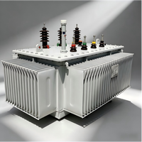 Transformateur de distribution de puissance triphasé immergé dans l'huile, en alliage amorphe, hermétiquement scellé, 11 kV, 630 kVA, SBH15