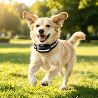 IP67 Wasserdichtes Anti-Bell-Halsband für Hunde mit Fernbedienung, Schock-, Vibrations- und Tonmodus, Hundetrainingshalsband zur Verhaltenskorrektur