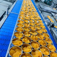 Geconserveerde sinaasappelkorrels 850g 3kg 18kg 27kg Citrusvruchtenpulp Commerciële ingrediënten voor bakkerijen en theewinkels
