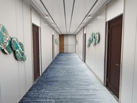 Tapis usine vente chaude laine et nylon Axminster imprimé mur à mur haute qualité hôtel cinq étoiles salon couloir tapis