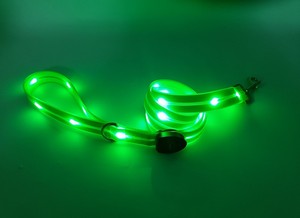 Su geçirmez aydınlatıcı yürüyüş gece Light up köpek tasma yaka seti parlayan Usb şarj edilebilir Led lamba köpek tasma - Product Image 6