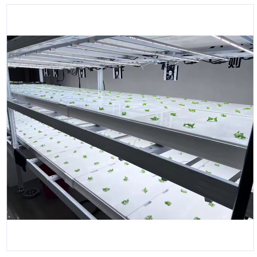 Image showcasing How to Choose the Best Vertical Farming Microgreens Automatic System