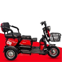 2020 melhor segurança e popular 60v 1000w triciclo elétrico para carga max corpo viagem potência